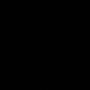 Meet your Posher, Valeria